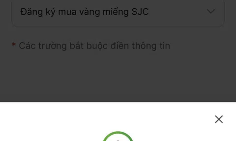 Trang web ngân hàng quá tải chỉ sau 1 phút mở bán vàng online
