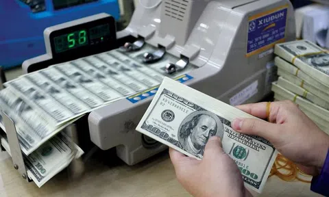 TP.HCM: 9 tháng đầu năm 2024, kiều hối đạt gần 5,5 tỷ USD