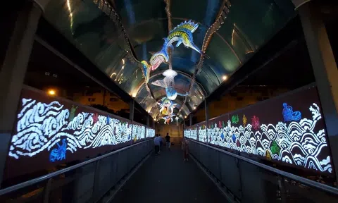 Tour đi bộ tại “thuỷ cung trên cạn” độc đáo tại Hà Nội