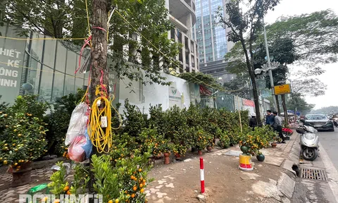 Cận cảnh vỉa hè Hà Nội bị lấn chiếm, biến thành..."chợ Tết"