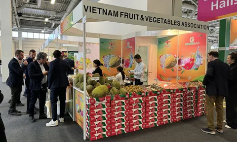 Nông sản Việt phổ biến trên kệ hàng quốc tế