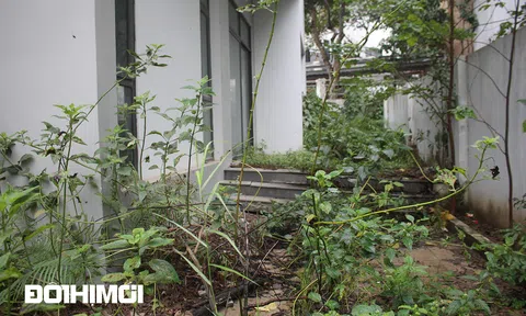 Biệt thự trong Khu đô thị sinh thái nghìn tỷ xuống cấp nghiêm trọng sau nhiều năm bỏ hoang