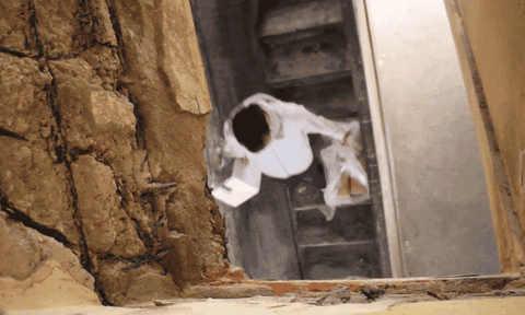 Ám ảnh với cầu thang "không cả dám bước mạnh" trong khu tập thể Trường Đại học Thương mại