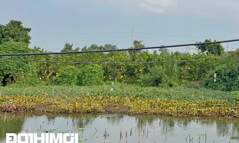 Cận cảnh Khu công nghệ cao sinh học Hà Nội vốn đầu tư tỷ đô sau 15 năm 