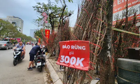 Hoa Tết ế ẩm, tiểu thương như "ngồi trên đống lửa"