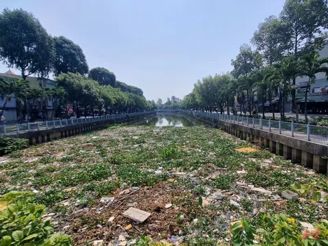 Dòng kênh đẹp nhất TP. HCM có nguy cơ ô nhiễm trở lại