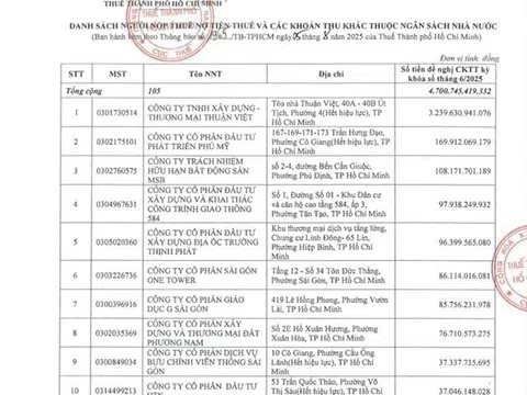 Công ty Thuận Việt nợ thuế hơn 3.200 tỷ đồng – Dự án New City Thủ Thiêm vẫn “mắc kẹt” sổ hồng