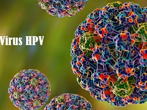 HPV: Nguy cơ, biến chứng và cách phòng ngừa ung thư cổ tử cung hiệu quả