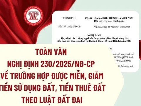 Chính phủ ban hành Nghị định 230/2025/NĐ-CP: Miễn, giảm tiền sử dụng đất, tiền thuê đất trong năm 2025