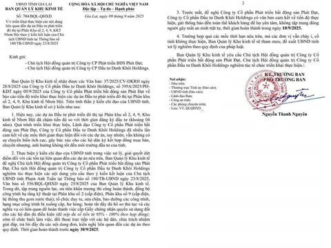 Dự án Nhơn Hội New City: Lộ rõ hạn chế trong năng lực triển khai của chủ đầu tư