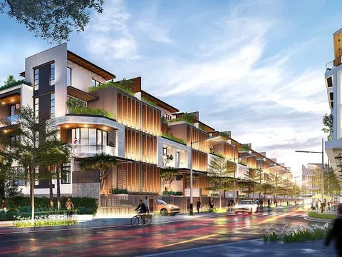 Nam Land bị xử phạt: Cảnh báo về minh bạch thông tin và rủi ro quản trị