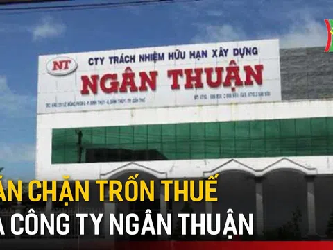 Nợ thuế gần 635 tỷ đồng: Cảnh báo về quản trị tài chính tại Xây dựng Ngân Thuận