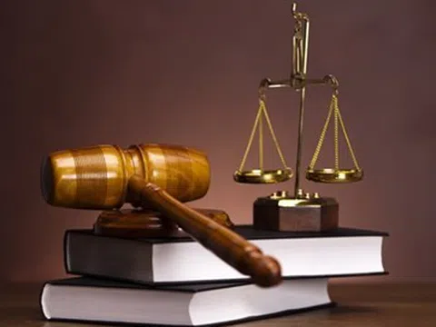 Công ty Hoa Kim Anh bị phạt 92,5 triệu đồng vì không công bố thông tin trái phiếu