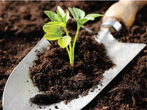 MBS Research: Ngành phân bón bước vào chu kỳ ổn định, xuất khẩu và chính sách VAT tạo cú hích tăng trưởng 2026