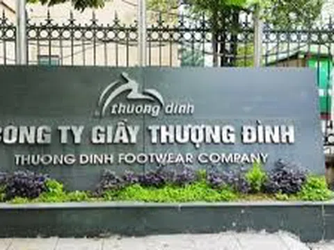 Giầy Thượng Đình thay máu thượng tầng: Người Vinaconex nắm quyền điều hành sau thương vụ thoái vốn 1.380 tỷ đồng