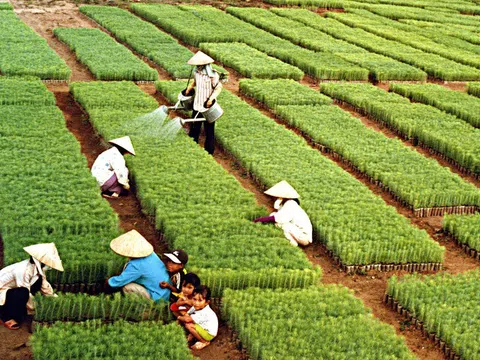 Bộ Nông nghiệp và Môi trường đặt mục tiêu tăng trưởng 3,7% năm 2026