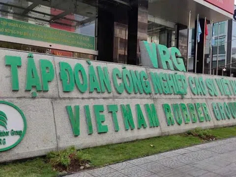 Tập đoàn Công nghiệp Cao su Việt Nam lợi nhuận quý 4/2025 lao dốc vì chi phí nhưng Cổ phiếu GVR lập đỉnh lịch sử