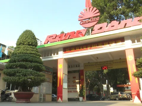 Rạng Đông (RAL) báo lãi giảm sâu năm 2025: Áp lực hàng ngoại, thuế và thiên tai bủa vây doanh nghiệp chiếu sáng Việt Nam