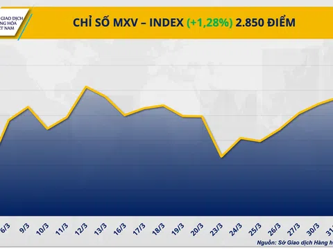 Thị trường hàng hóa thế giới rung lắc mạnh: Giá dầu bật tăng, kim loại quý chịu áp lực tại Việt Nam và toàn cầu