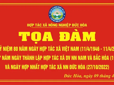 Đức Hòa (Quảng Ngãi): 80 năm kinh tế hợp tác và hành trình chuyển mình của HTX nông nghiệp
