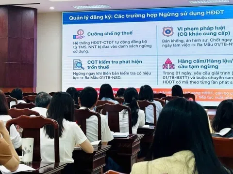 Quảng Ngãi tập huấn phân tích rủi ro hóa đơn: Tăng “lá chắn” chống gian lận trong quản lý thuế