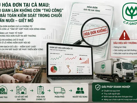 Vụ hóa đơn khống tại Cà Mau: Khi gian lận không còn nhỏ lẻ và lỗ hổng kiểm soát lộ rõ trong chuỗi chăn nuôi giết mổ