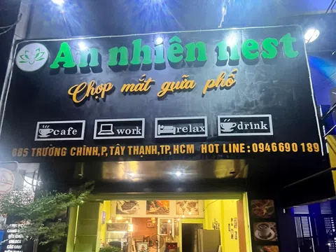 An Nhiên Nest: Quán cà phê chữa lành và phòng tranh nhân ái của bác sĩ ung bướu