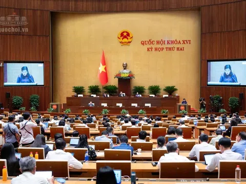 Sửa Luật An toàn thực phẩm: Chất lượng luật được đo bằng hiệu quả bảo vệ người dân