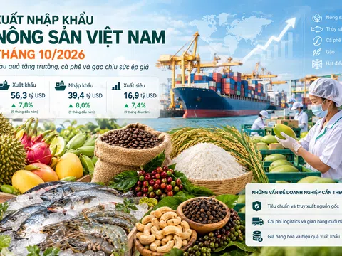 Xuất nhập khẩu nông sản Việt Nam tháng 10/2026: Rau quả tăng trưởng, cà phê và gạo chịu sức ép giá