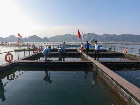 Chính sách sát thực tiễn để thu hút đầu tư vào nông nghiệp