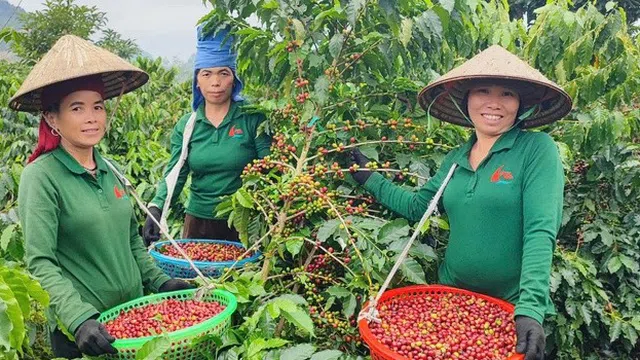 Nghị quyết 79: Doanh nghiệp Nhà nước chuyển vai từ “trụ cột” sang “hạt nhân hệ sinh thái”, mở đường cho tư nhân bứt phá