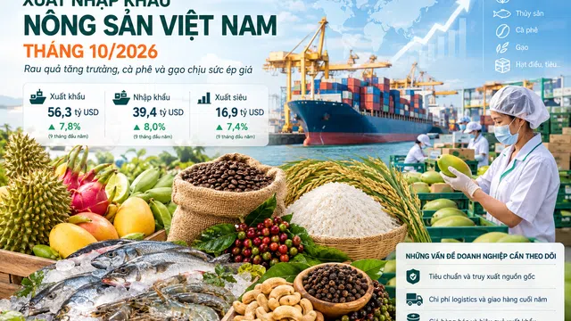 Xuất nhập khẩu nông sản Việt Nam tháng 10/2026: Rau quả tăng trưởng, cà phê và gạo chịu sức ép giá